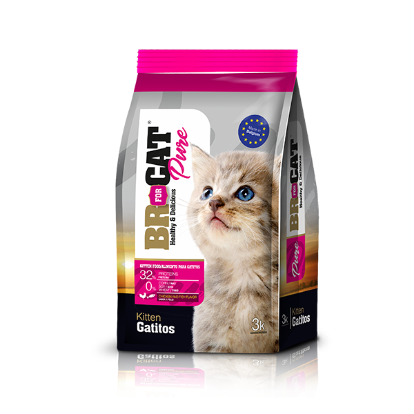Br For Cat Gatitos Sabor a Pollo