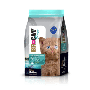 Br For Cat Gatitos Sabor a Salmón