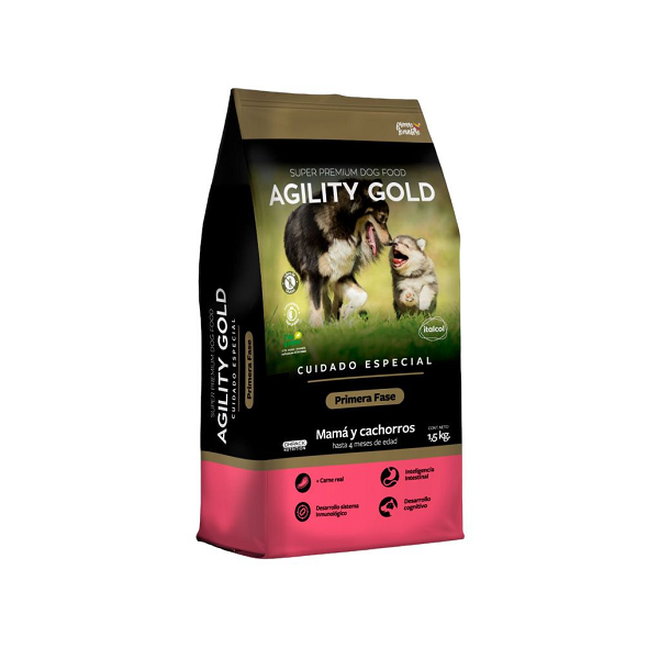 Agility Gold Primera Fase