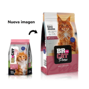 Br For Cat Gato Adulto Sabor a Salmon