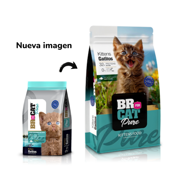 Br For Cat Gatitos Sabor a Salmón