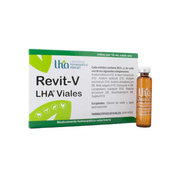 Revit-V LHA Viales