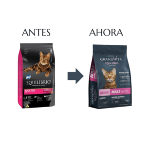 Equilibrio Gato Adulto