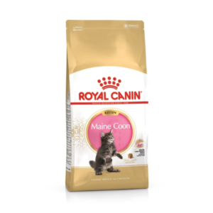 Royal Canin Maine Coon Bebé